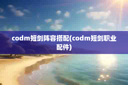 codm短剑阵容搭配(codm短剑职业配件)