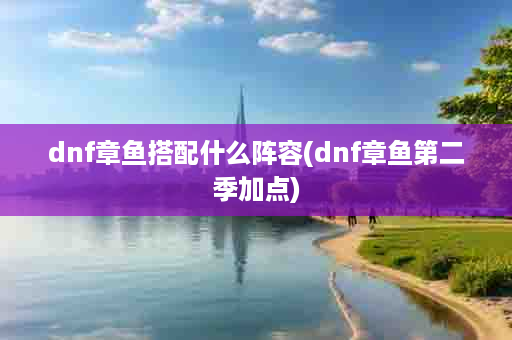 dnf章鱼搭配什么阵容(dnf章鱼第二季加点)