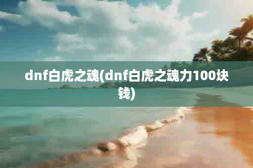 dnf白虎之魂(dnf白虎之魂力100块钱)