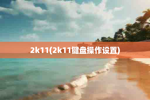 2k11(2k11键盘操作设置)