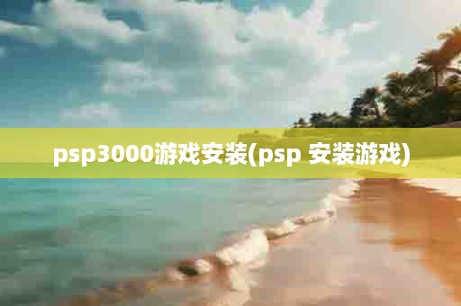 psp3000游戏安装(psp 安装游戏)