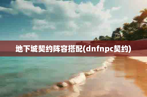 地下城契约阵容搭配(dnfnpc契约)