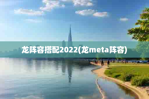 龙阵容搭配2022(龙meta阵容)