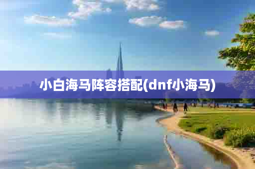 小白海马阵容搭配(dnf小海马)