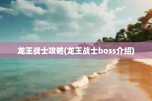 龙王战士攻略(龙王战士boss介绍)