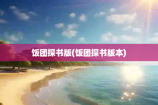 饭团探书版(饭团探书版本)