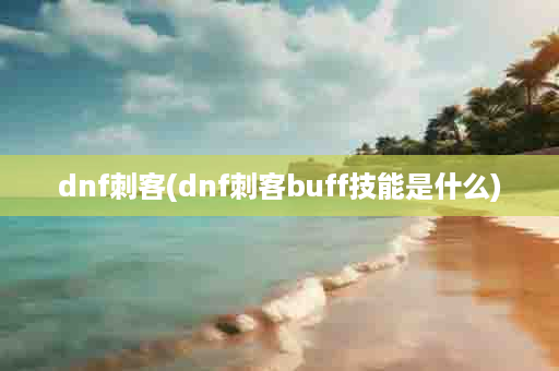 dnf刺客(dnf刺客buff技能是什么)