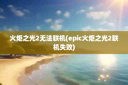 火炬之光2无法联机(epic火炬之光2联机失败)