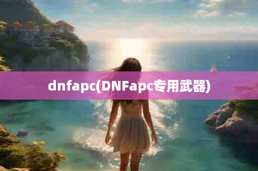 dnfapc(DNFapc专用武器)