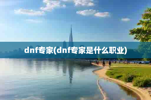 dnf专家(dnf专家是什么职业)