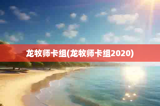 龙牧师卡组(龙牧师卡组2020)