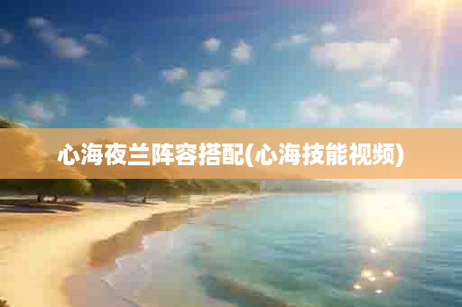 心海夜兰阵容搭配(心海技能视频)