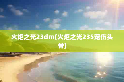 火炬之光23dm(火炬之光235宠伤头骨)