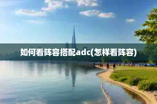 如何看阵容搭配adc(怎样看阵容)