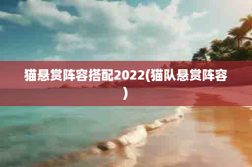 猫悬赏阵容搭配2022(猫队悬赏阵容)