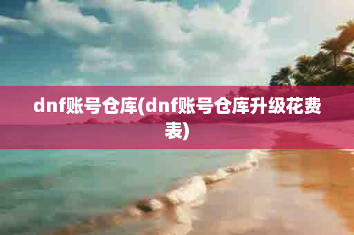 dnf账号仓库(dnf账号仓库升级花费表)