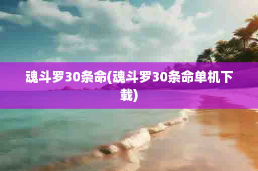 魂斗罗30条命(魂斗罗30条命单机下载)