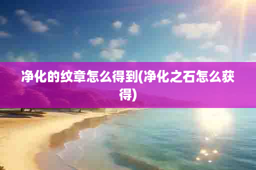 净化的纹章怎么得到(净化之石怎么获得)