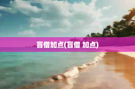 盲僧加点(盲僧 加点)