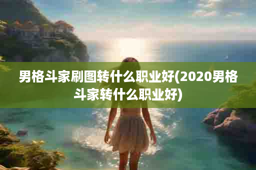 男格斗家刷图转什么职业好(2020男格斗家转什么职业好)