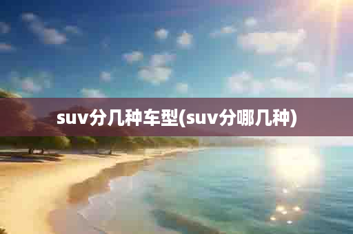 suv分几种车型(suv分哪几种)