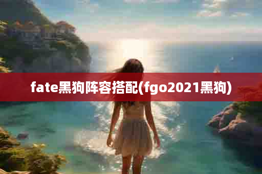 fate黑狗阵容搭配(fgo2021黑狗)