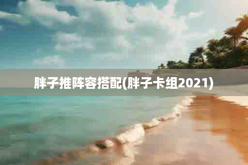 胖子推阵容搭配(胖子卡组2021)