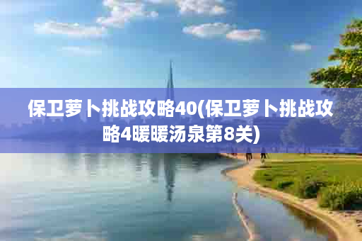 保卫萝卜挑战攻略40(保卫萝卜挑战攻略4暖暖汤泉第8关)