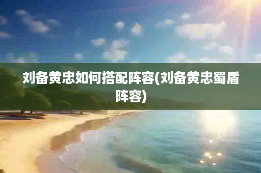 刘备黄忠如何搭配阵容(刘备黄忠蜀盾阵容)