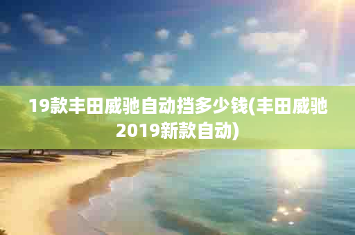 19款丰田威驰自动挡多少钱(丰田威驰2019新款自动)