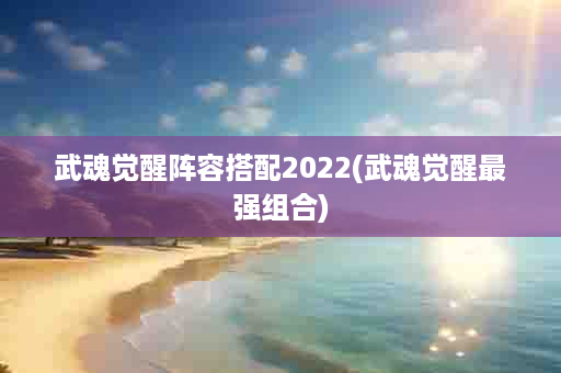 武魂觉醒阵容搭配2022(武魂觉醒最强组合)