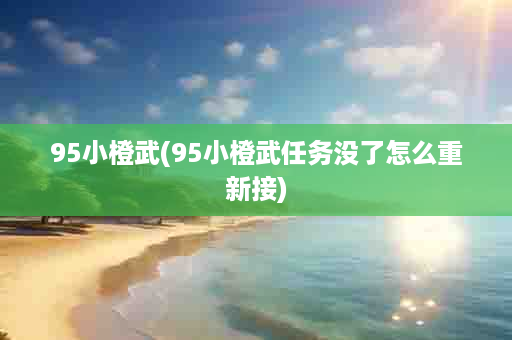 95小橙武(95小橙武任务没了怎么重新接)