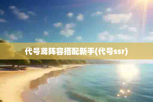 代号鸢阵容搭配新手(代号ssr)