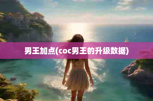 男王加点(coc男王的升级数据)