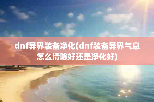 dnf异界装备净化(dnf装备异界气息怎么清除好还是净化好)