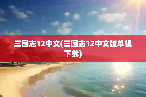 三国志12中文(三国志12中文版单机下载)