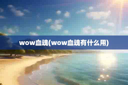 wow血魂(wow血魂有什么用)