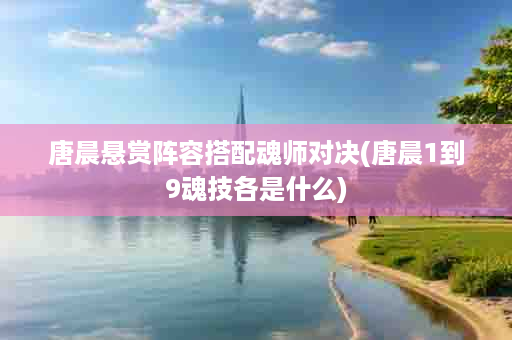 唐晨悬赏阵容搭配魂师对决(唐晨1到9魂技各是什么)