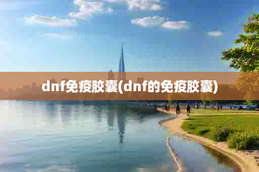 dnf免疫胶囊(dnf的免疫胶囊)