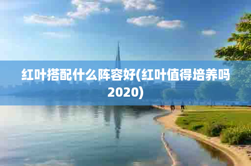 红叶搭配什么阵容好(红叶值得培养吗2020)