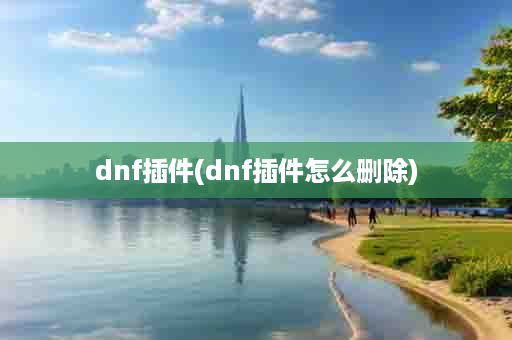 dnf插件(dnf插件怎么删除)