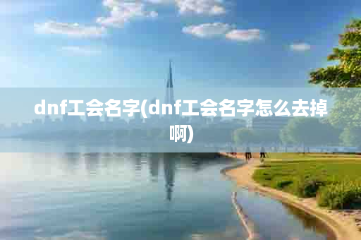 dnf工会名字(dnf工会名字怎么去掉啊)