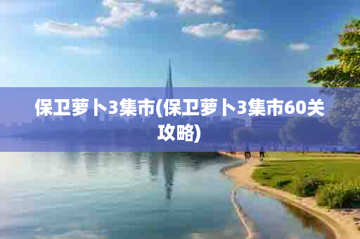 保卫萝卜3集市(保卫萝卜3集市60关攻略)