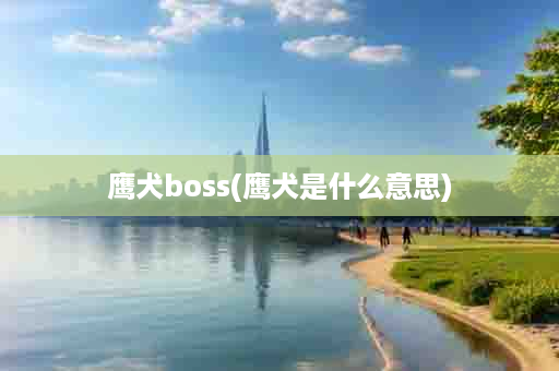 鹰犬boss(鹰犬是什么意思)