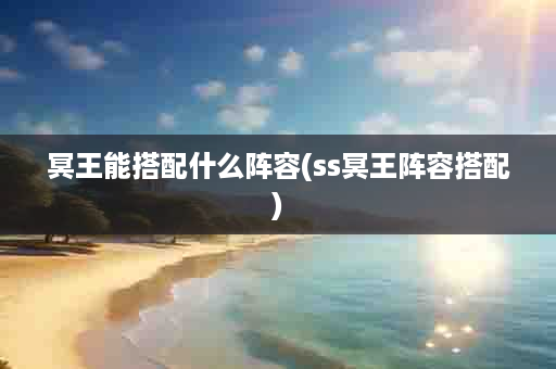 冥王能搭配什么阵容(ss冥王阵容搭配)