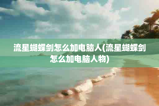 流星蝴蝶剑怎么加电脑人(流星蝴蝶剑怎么加电脑人物)