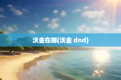 沃金在哪(沃金 dnd)