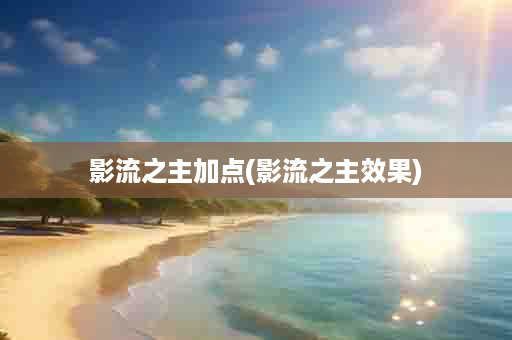 影流之主加点(影流之主效果)