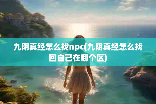 九阴真经怎么找npc(九阴真经怎么找回自己在哪个区)