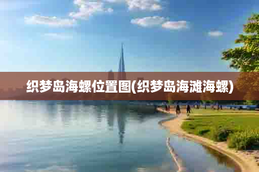 织梦岛海螺位置图(织梦岛海滩海螺)